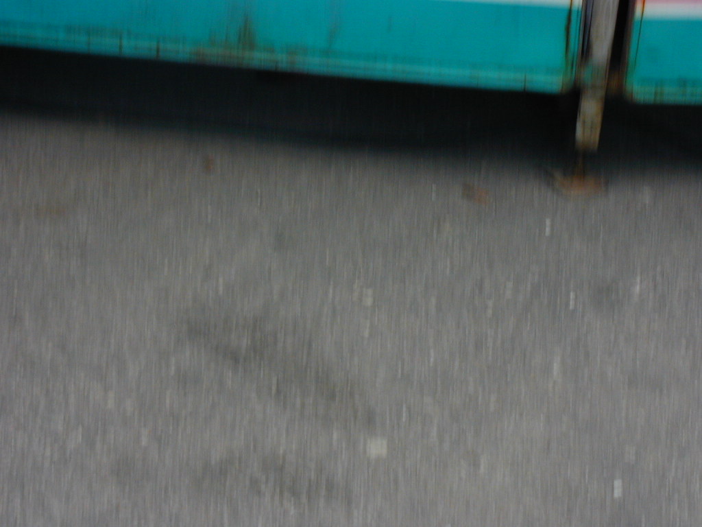 BigPicture of P9080437.JPG
