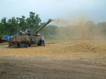 D9142026.jpg